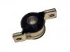 Control Arm Bushing:7601068