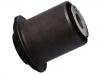 Control Arm Bushing:55045-8J000