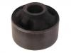 Control Arm Bushing:20204-AG010