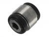 悬架衬套 Suspension Bushing:C2C 18350