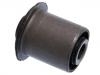 Suspension Bushing Suspension Bushing:55045-AG000